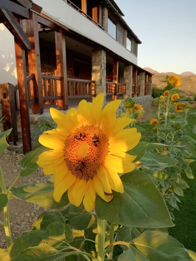 Anemomylos House Lägenhet Exo Mouliana Exteriör bild